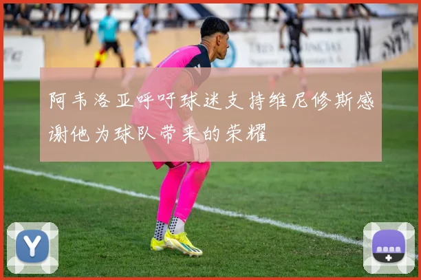 阿韦洛亚呼吁球迷支持维尼修斯感谢他为球队带来的荣耀